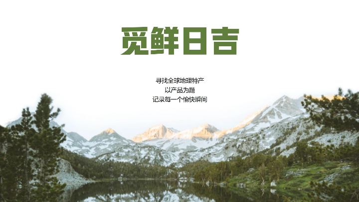 九界品牌策划与设计