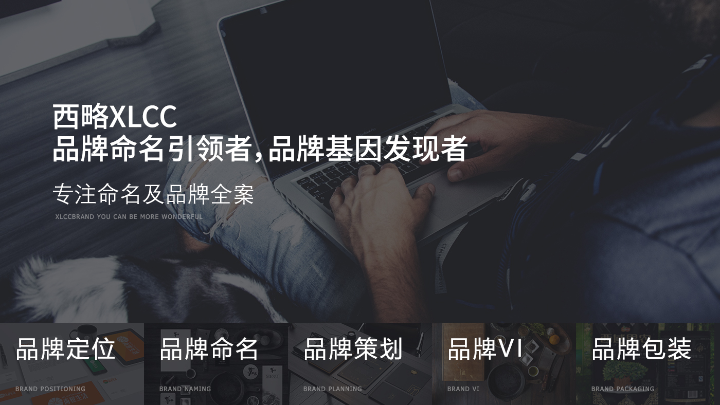 创酷猴演示全案公司